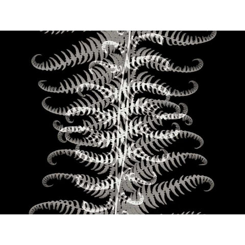 Ferns I Black Modern Wood Framed Art Print with Double Matting by Christensen, Jim