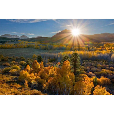 Eastern Sierra I Gold Ornate Wood Framed Art Print with Double Matting by Geistweite, Mark