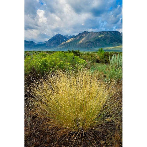 Eastern Sierra IV Black Modern Wood Framed Art Print by Geistweite, Mark