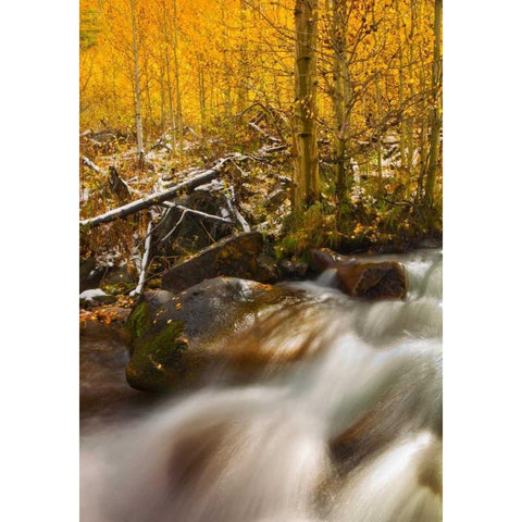 Cascade of Change White Modern Wood Framed Art Print by Geistweite, Mark