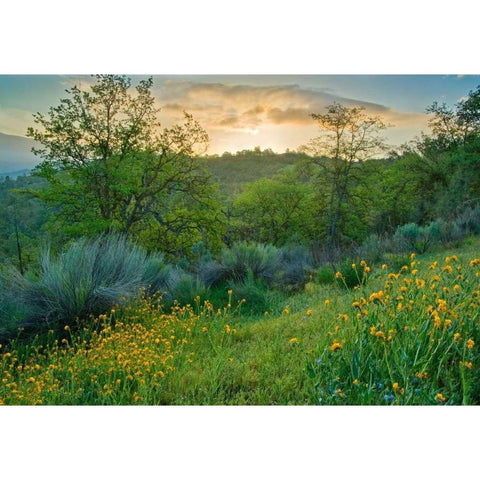 Caliente Spring I Black Modern Wood Framed Art Print with Double Matting by Geistweite, Mark