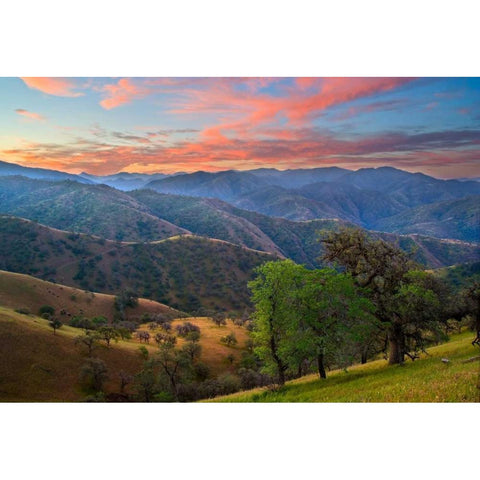 Pastel in Nature II Black Modern Wood Framed Art Print with Double Matting by Geistweite, Mark