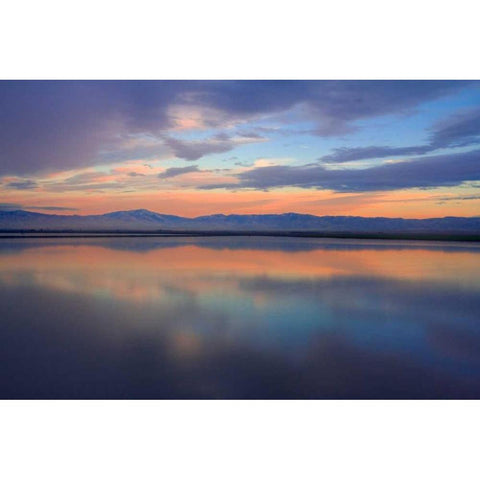 Watercolor II Black Modern Wood Framed Art Print with Double Matting by Geistweite, Mark