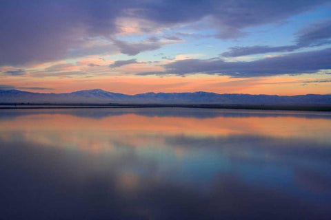 Watercolor II Black Ornate Wood Framed Art Print with Double Matting by Geistweite, Mark