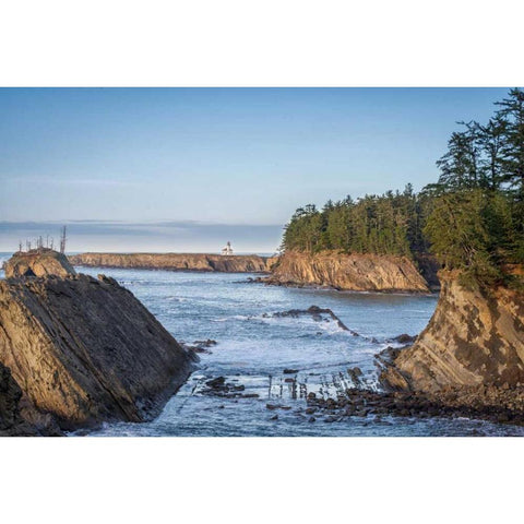 Cape Arago Lighthouse Gold Ornate Wood Framed Art Print with Double Matting by Hellmann, Stan