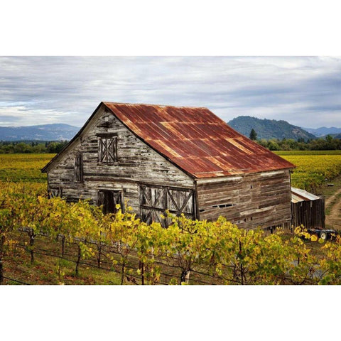 Sonoma Barn White Modern Wood Framed Art Print by Hellmann, Stan