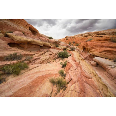 Valley of Fire I Black Modern Wood Framed Art Print with Double Matting by Hellmann, Stan