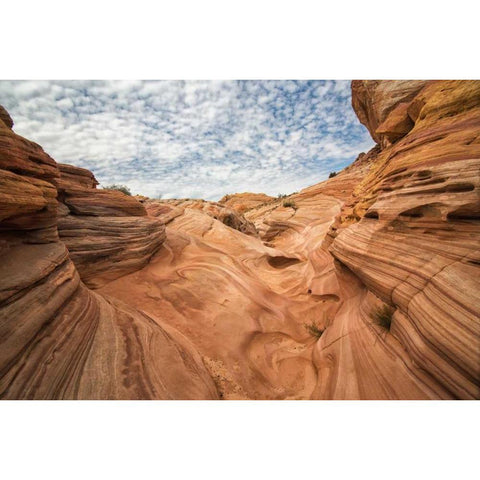 Valley of Fire III Black Modern Wood Framed Art Print with Double Matting by Hellmann, Stan