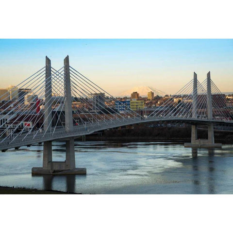 Tilikum Crossing and Mt. St. Helens Black Modern Wood Framed Art Print with Double Matting by Hellmann, Stan