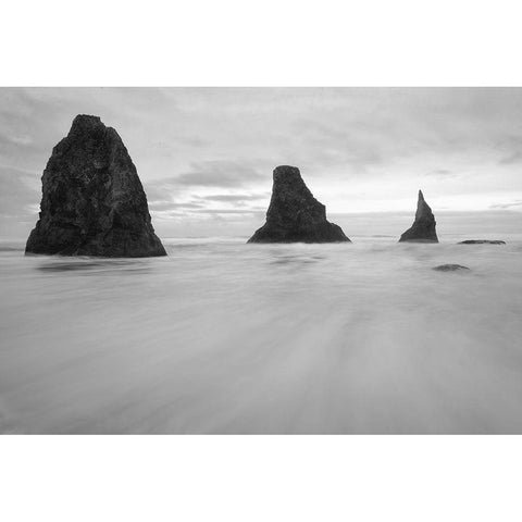 Bandon BW White Modern Wood Framed Art Print by Hellmann, Stan