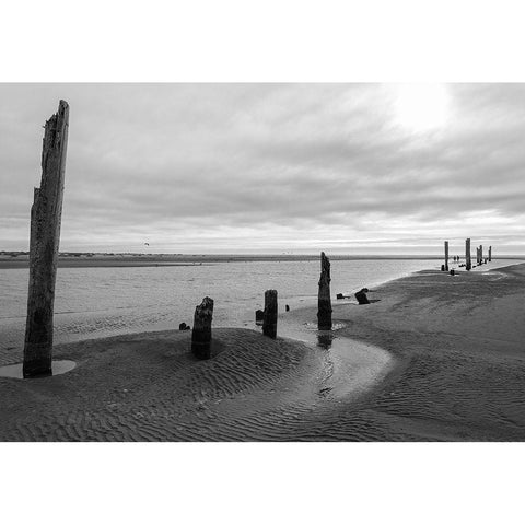 Pacific Beach BW White Modern Wood Framed Art Print by Hellmann, Stan