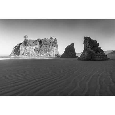 Ruby Beach Morning II BW Black Modern Wood Framed Art Print with Double Matting by Hellmann, Stan