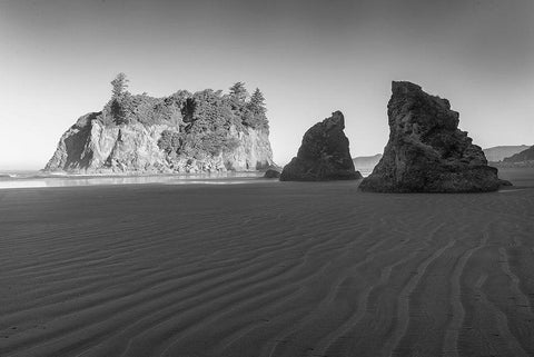 Ruby Beach Morning II BW Black Ornate Wood Framed Art Print with Double Matting by Hellmann, Stan