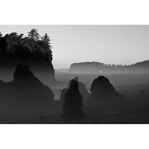 Ruby Beach Morning III BW Gold Ornate Wood Framed Art Print with Double Matting by Hellmann, Stan