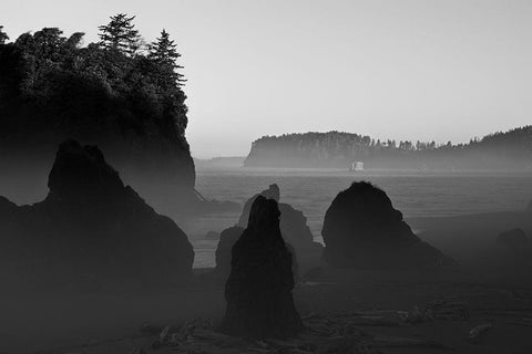 Ruby Beach Morning III BW White Modern Wood Framed Art Print with Double Matting by Hellmann, Stan