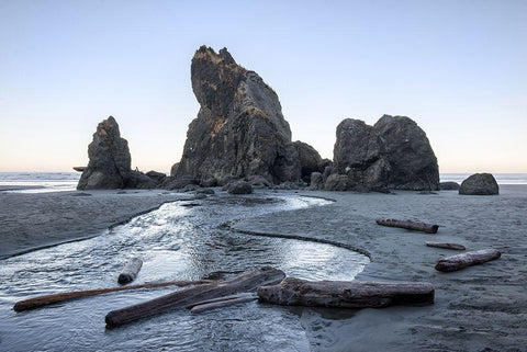 Ruby Beach Morning I Black Ornate Wood Framed Art Print with Double Matting by Hellmann, Stan