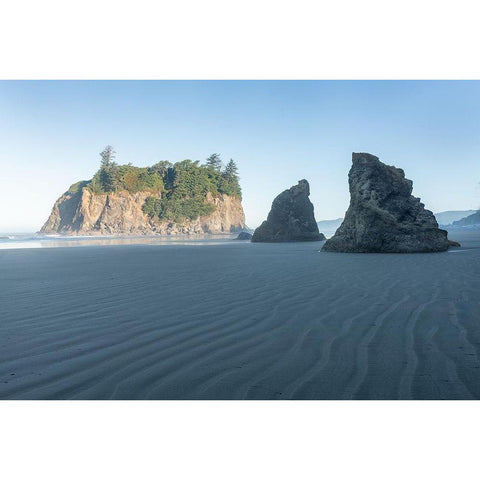 Ruby Beach Morning II Black Modern Wood Framed Art Print with Double Matting by Hellmann, Stan