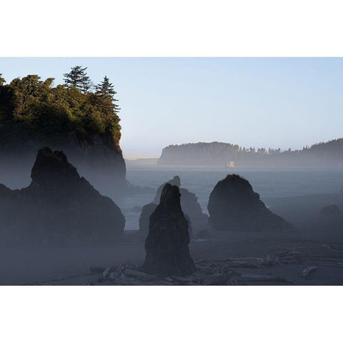 Ruby Beach Morning III White Modern Wood Framed Art Print by Hellmann, Stan