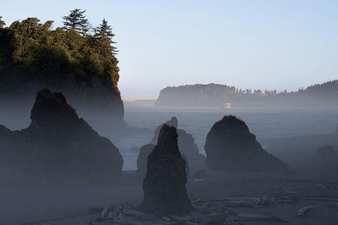 Ruby Beach Morning III Black Ornate Wood Framed Art Print with Double Matting by Hellmann, Stan