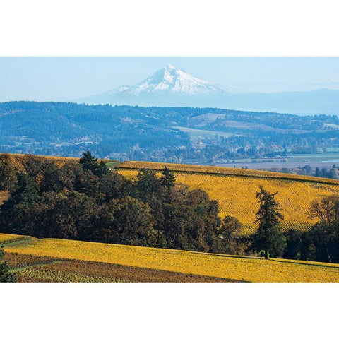 Dundee Hills I White Modern Wood Framed Art Print by Hellmann, Stan