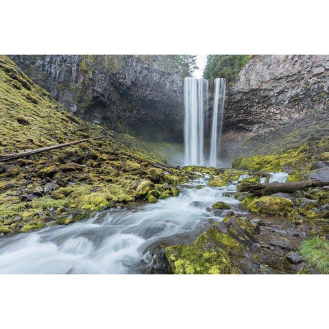 Tamanawas Falls I White Modern Wood Framed Art Print by Hellmann, Stan