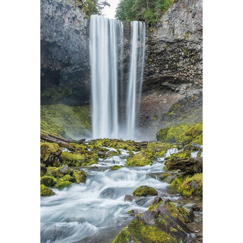 Tamanawas Falls II Black Modern Wood Framed Art Print with Double Matting by Hellmann, Stan