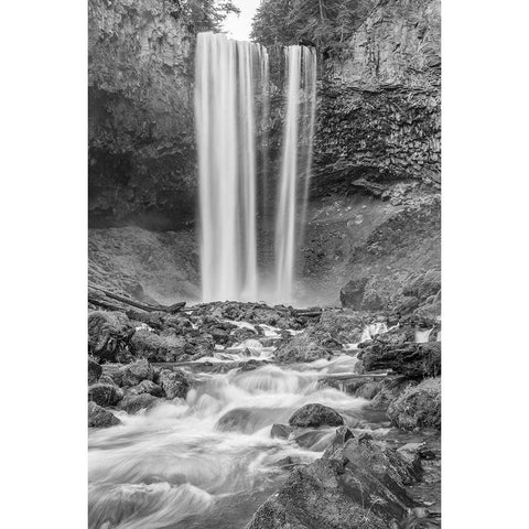 Tamanawas Falls II BW White Modern Wood Framed Art Print by Hellmann, Stan