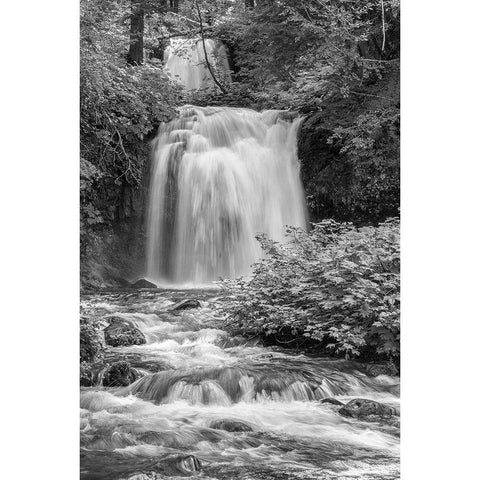 Twin Falls BW Gold Ornate Wood Framed Art Print with Double Matting by Hellmann, Stan