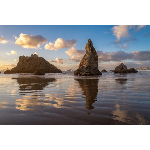 Bandon III White Modern Wood Framed Art Print by Hellmann, Stan