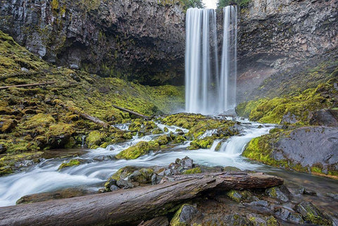 Abiqua Falls II Black Ornate Wood Framed Art Print with Double Matting by Hellmann, Stan