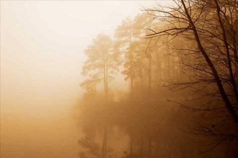 Fog on Shelly Lake I Black Ornate Wood Framed Art Print with Double Matting by Hausenflock, Alan