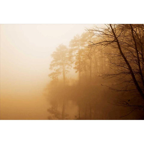 Fog on Shelly Lake I White Modern Wood Framed Art Print by Hausenflock, Alan