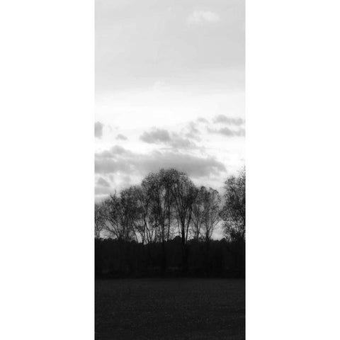 Winter Sunset BW III White Modern Wood Framed Art Print by Hausenflock, Alan