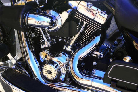 Black Beauty I White Modern Wood Framed Art Print with Double Matting by Hausenflock, Alan