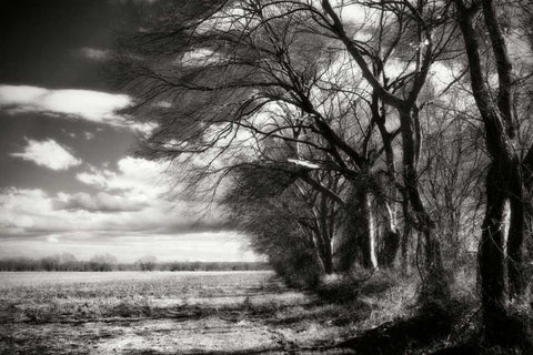 Winter Fields II Black Ornate Wood Framed Art Print with Double Matting by Hausenflock, Alan