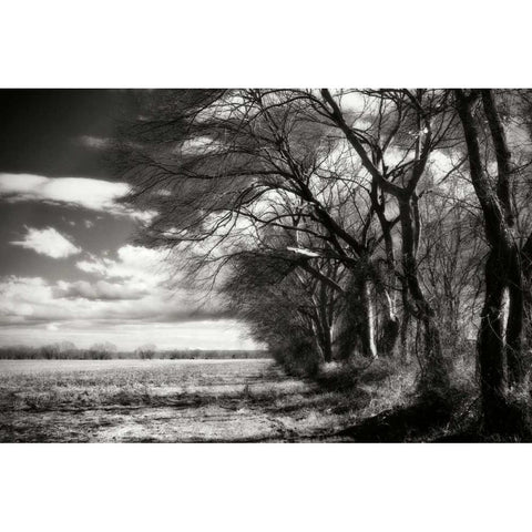 Winter Fields II Black Modern Wood Framed Art Print with Double Matting by Hausenflock, Alan