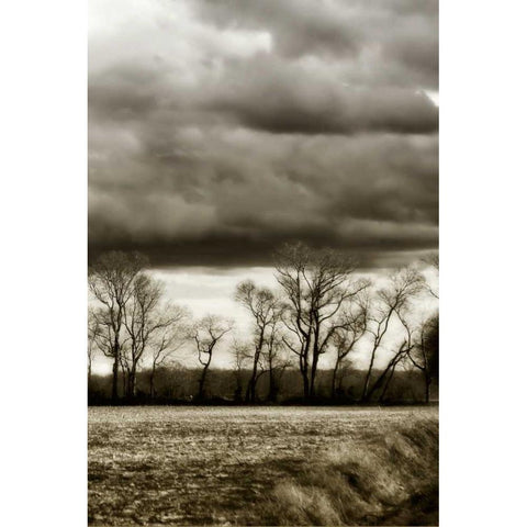 Winter Fields V Black Modern Wood Framed Art Print with Double Matting by Hausenflock, Alan