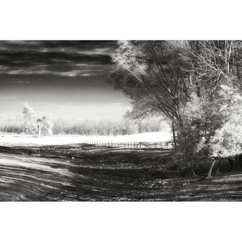 Dry Creek II White Modern Wood Framed Art Print by Hausenflock, Alan