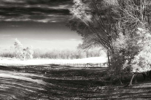 Dry Creek II Black Ornate Wood Framed Art Print with Double Matting by Hausenflock, Alan