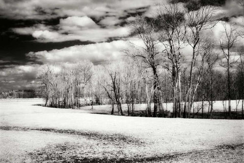 Hanover Winter I Black Ornate Wood Framed Art Print with Double Matting by Hausenflock, Alan