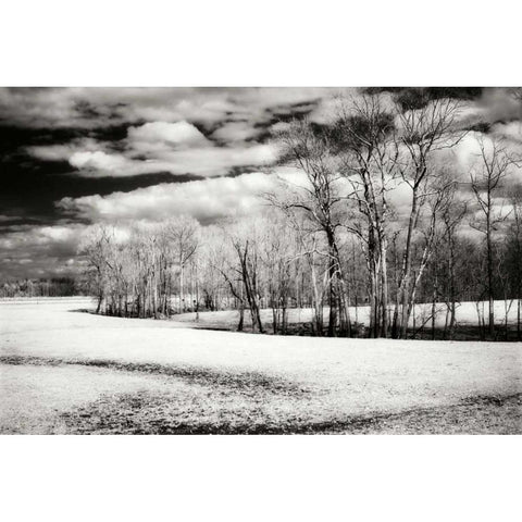 Hanover Winter I White Modern Wood Framed Art Print by Hausenflock, Alan