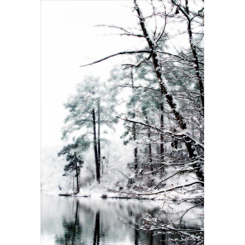 Shelly Lake in Winter I White Modern Wood Framed Art Print by Hausenflock, Alan