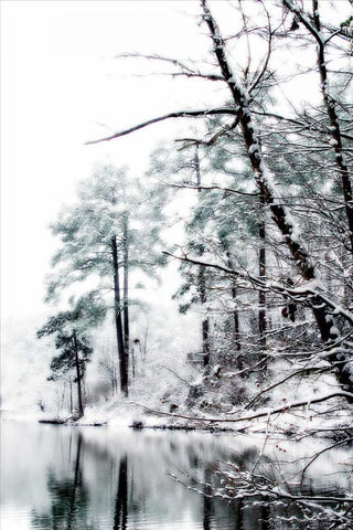 Shelly Lake in Winter I Black Ornate Wood Framed Art Print with Double Matting by Hausenflock, Alan