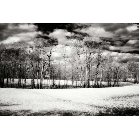 Hanover Winter II Black Modern Wood Framed Art Print with Double Matting by Hausenflock, Alan