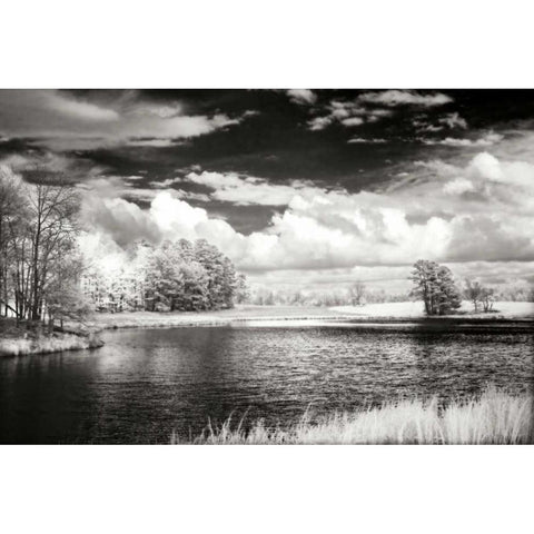 Shearon Lake II Black Modern Wood Framed Art Print with Double Matting by Hausenflock, Alan