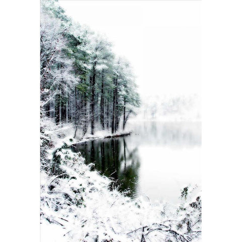 Shelly Lake in Winter II Gold Ornate Wood Framed Art Print with Double Matting by Hausenflock, Alan