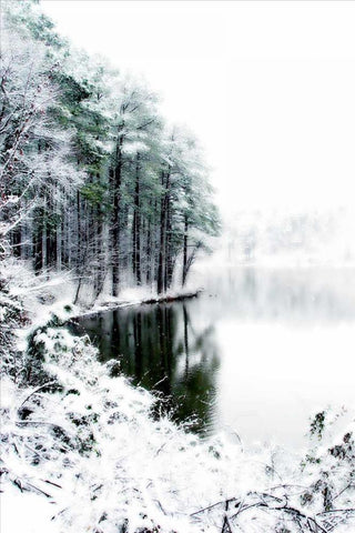 Shelly Lake in Winter II White Modern Wood Framed Art Print with Double Matting by Hausenflock, Alan