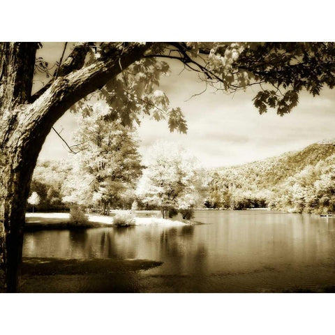 Mountain Lake II White Modern Wood Framed Art Print by Hausenflock, Alan