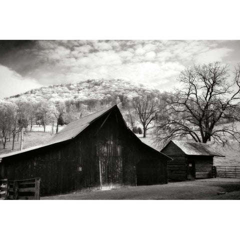 Alleghany County I White Modern Wood Framed Art Print by Hausenflock, Alan