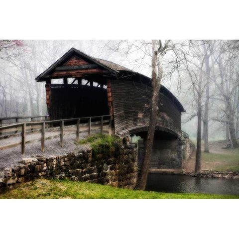 Humpback Bridge I Gold Ornate Wood Framed Art Print with Double Matting by Hausenflock, Alan